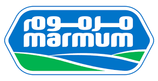 Company logo 6